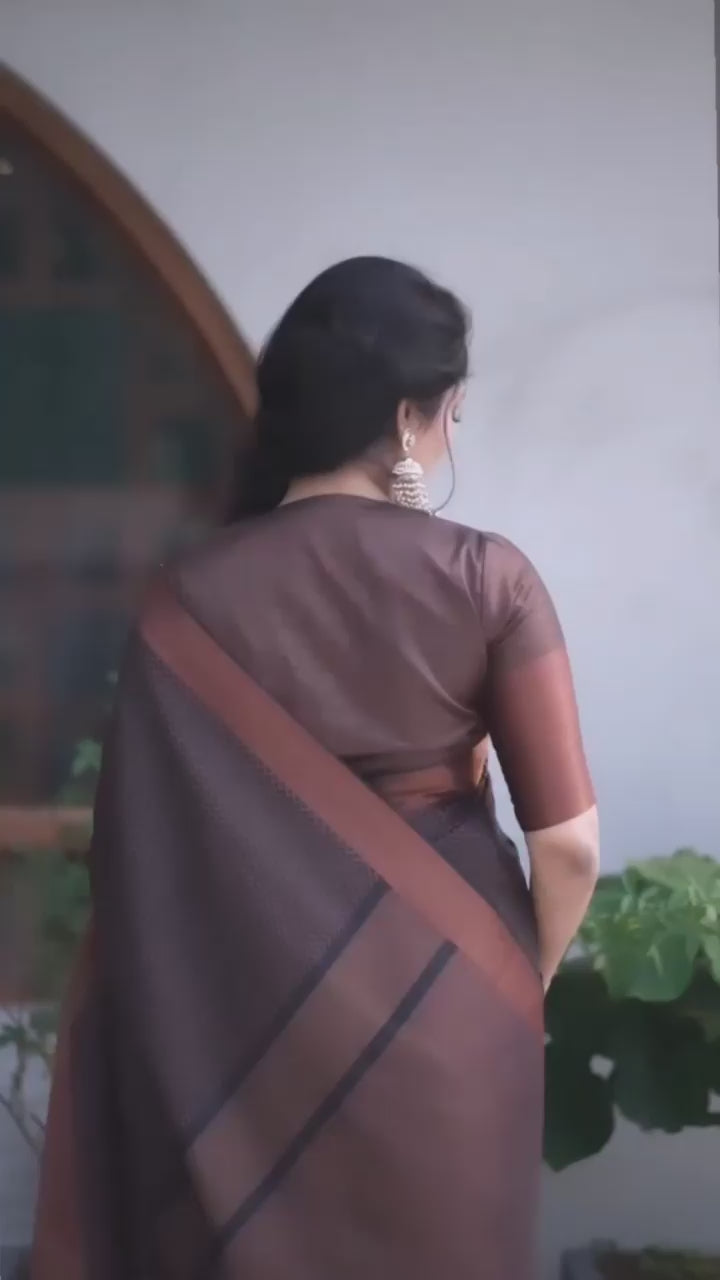 Classic Chocolate Soft Lichi Silk Saree with Rich Jacquard Pallu & Zhalar